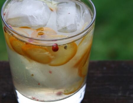 2081-kumquat-pink-peppercorn-spritzer